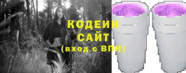 ECSTASY Гусь-Хрустальный