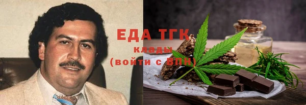 ECSTASY Гусь-Хрустальный