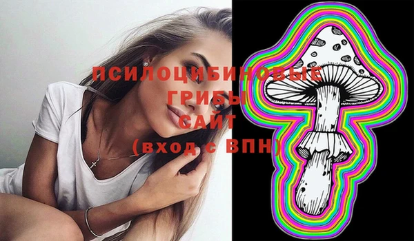ешки Дмитров