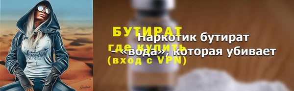 ECSTASY Гусь-Хрустальный