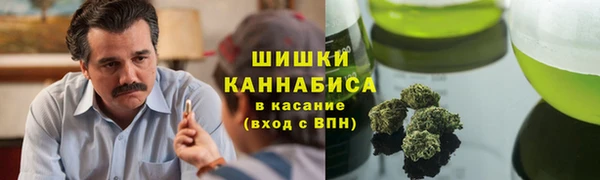 ECSTASY Гусь-Хрустальный