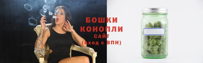 ECSTASY Гусь-Хрустальный