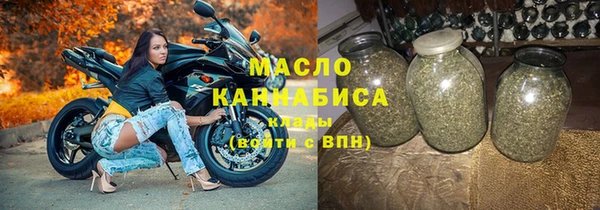 ECSTASY Гусь-Хрустальный